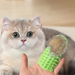 Cat Self-Grooming Massager & Scratcher